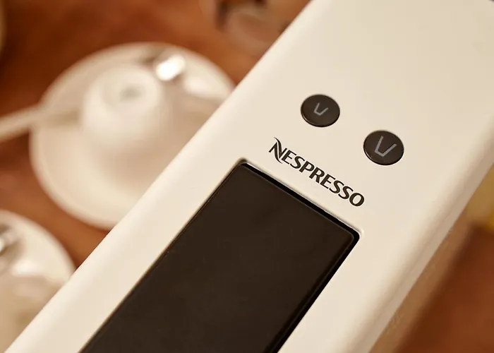 Ziggy Star In Diocletian Palace Split