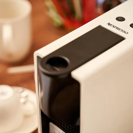 Ziggy Star In Diocletian Palace