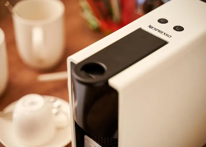 Ziggy Star In Diocletian Palace